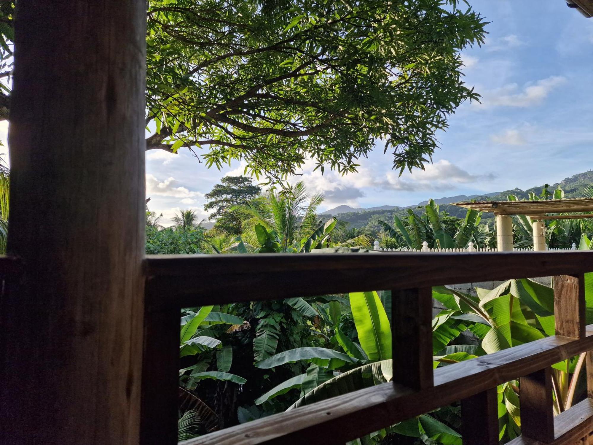 A Peace In Paradise Anse Royale Exterior foto